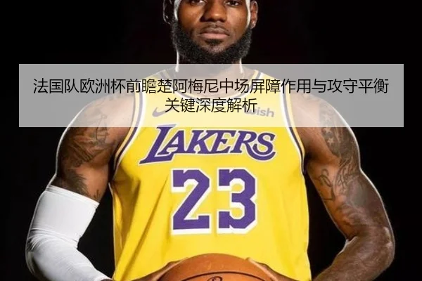 法国队欧洲杯前瞻楚阿梅尼中场屏障作用与攻守平衡关键深度解析
